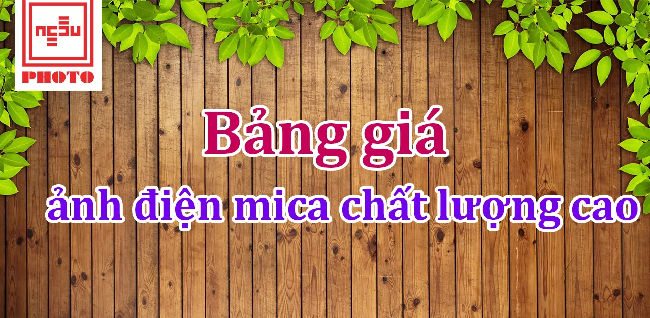 Bảng giá ảnh điện mica chất lượng cao năm 2023