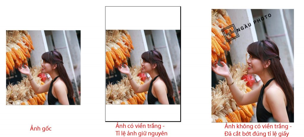 ảnh viền trắng ảnh viền trắng