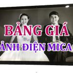 anh mica led